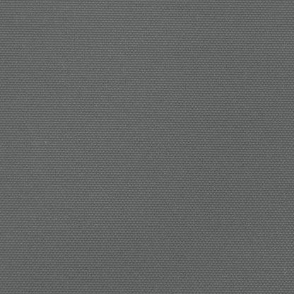 vidaXL Seitenmarkise Ausziehbar Anthrazit 160x1200 cm