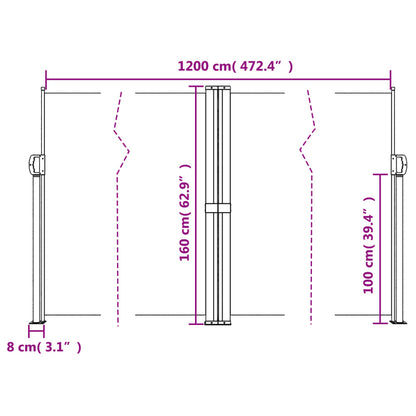 vidaXL Seitenmarkise Ausziehbar Beige 160x1200 cm