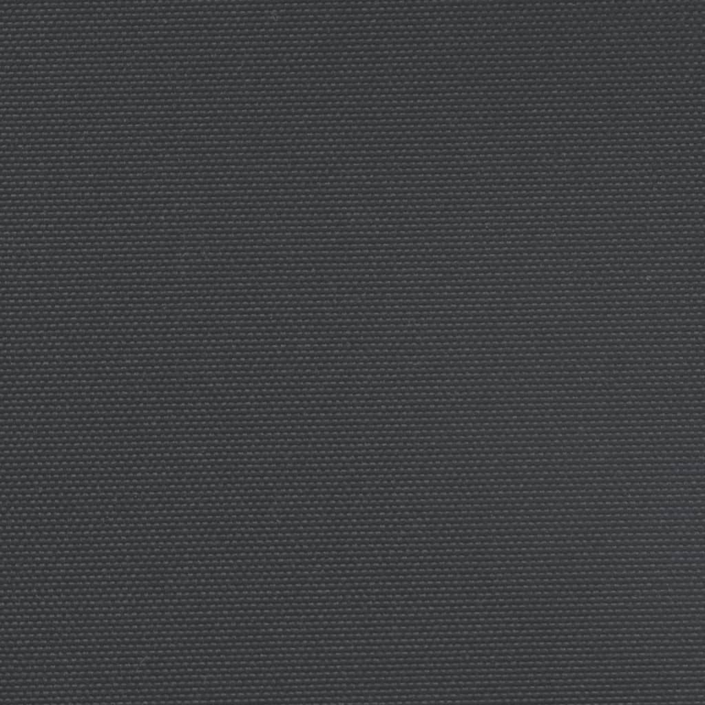 vidaXL Seitenmarkise Ausziehbar Schwarz 200x1200 cm