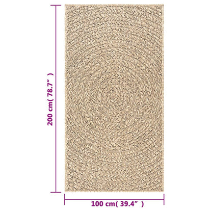 vidaXL Tapis ZIZUR 100x200 cm Aspect Jute Intérieur et Extérieur