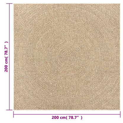 vidaXL Tapis ZIZUR 200x200 cm aspect jute Intérieur et extérieur