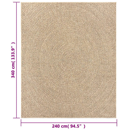 vidaXL Tapis ZIZUR 240x340 cm aspect jute Intérieur et extérieur