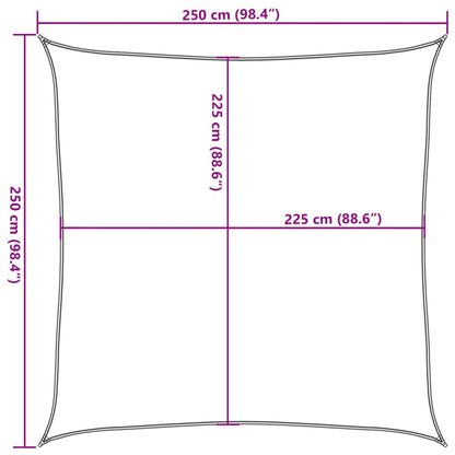 vidaXL Sonnensegel 160 g/m² Quadratisch Hellgrau 2,5x2,5 m HDPE