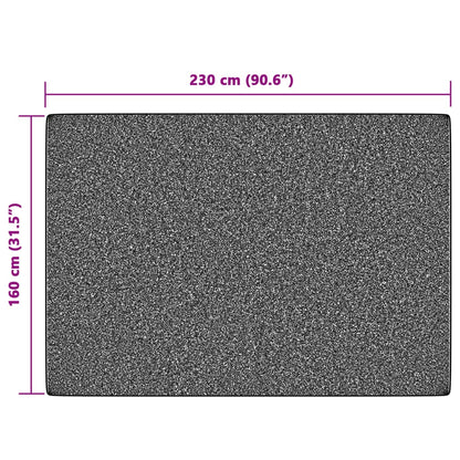 vidaXL Tapis d'intérieur et d'extérieur Multicolore 160x230 cm Antidérapant