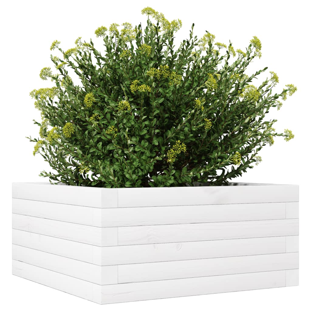 vidaXL Pflanzkübel Weiß 50x50x23 cm Massivholz Kiefer