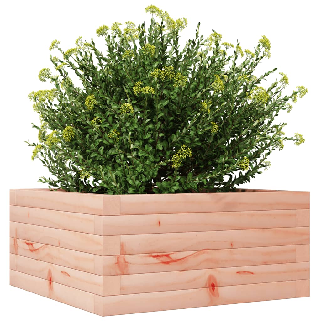 vidaXL Pflanzkübel 50x50x23 cm Massivholz Douglasie