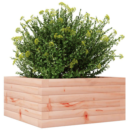vidaXL Pflanzkübel 50x50x23 cm Massivholz Douglasie