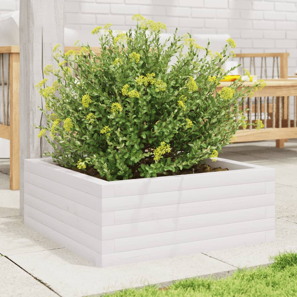 vidaXL Pflanzkübel Weiß 60x60x23 cm Massivholz Kiefer