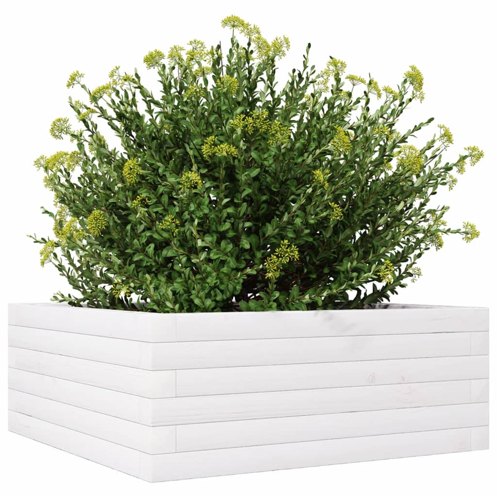 vidaXL Pflanzkübel Weiß 60x60x23 cm Massivholz Kiefer