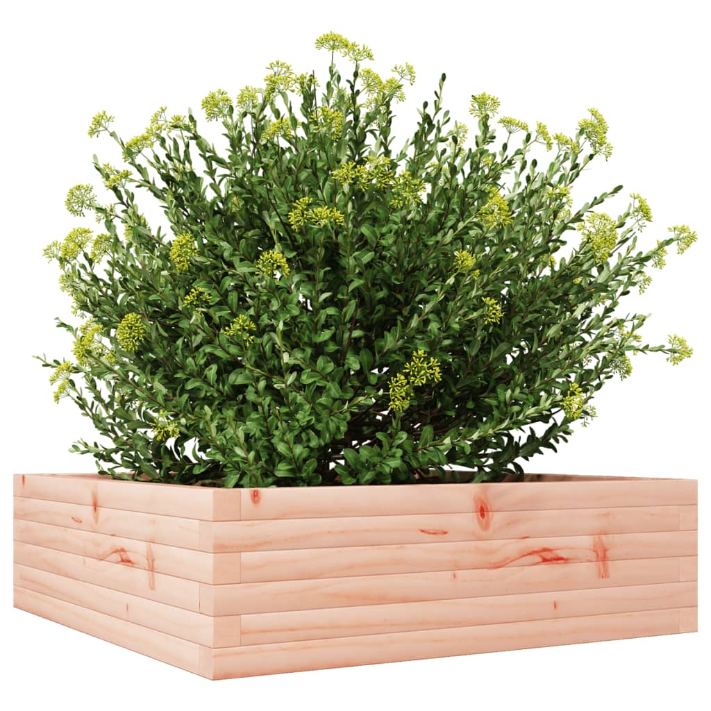 vidaXL Pflanzkübel 80x80x23 cm Massivholz Douglasie