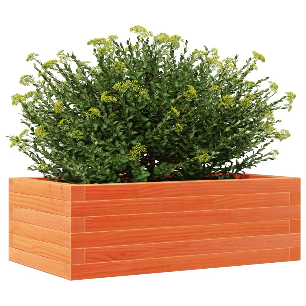 vidaXL Pflanzkübel Wachsbraun 70x40x23 cm Massivholz Kiefer