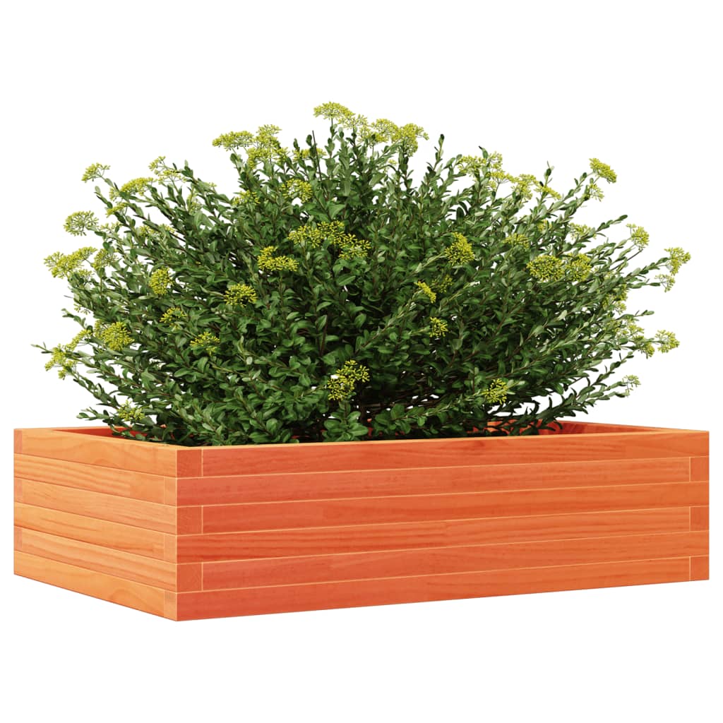 vidaXL Pflanzkübel Wachsbraun 90x60x23 cm Massivholz Kiefer