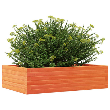vidaXL Pflanzkübel Wachsbraun 90x60x23 cm Massivholz Kiefer