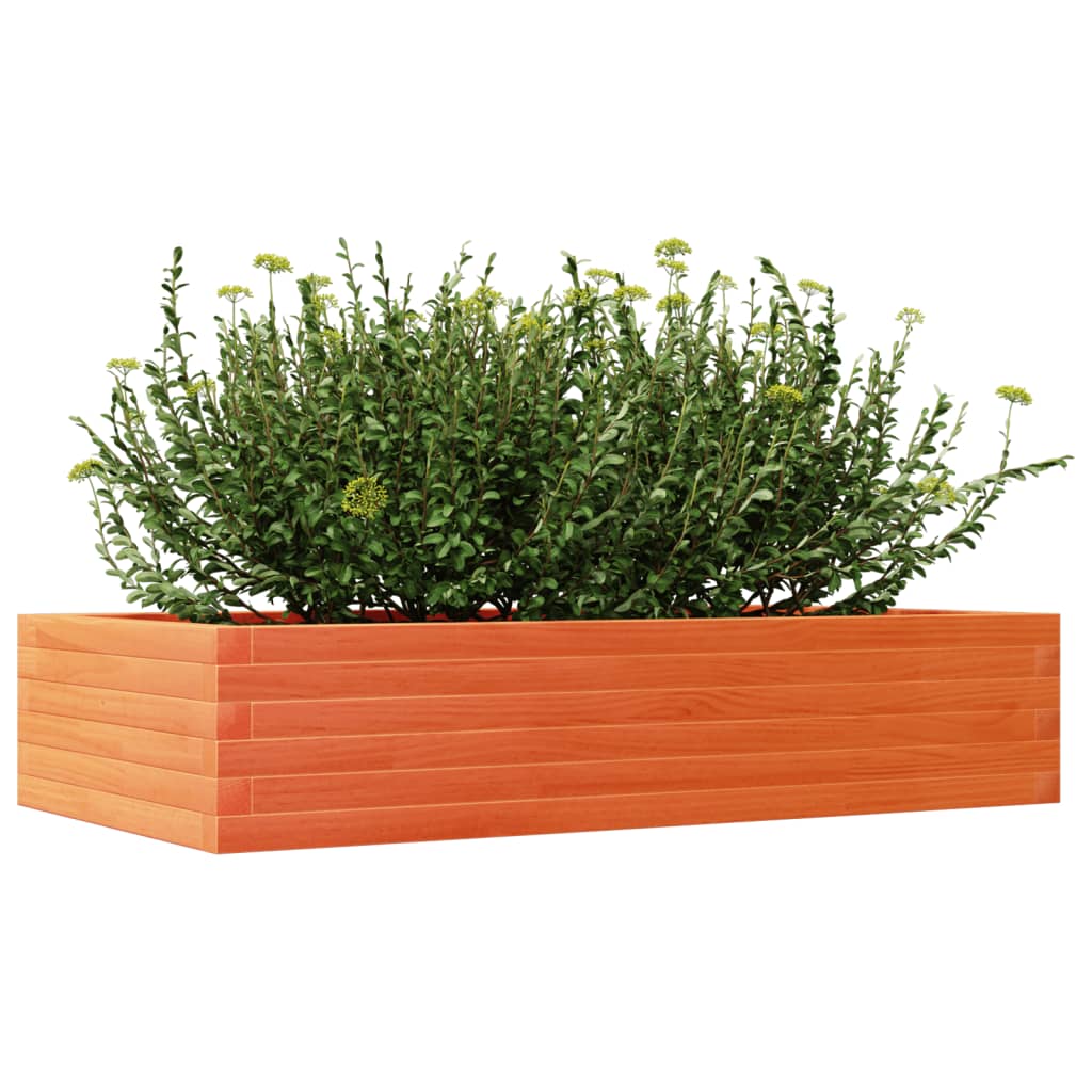 vidaXL Pflanzkübel Wachsbraun 110x60x23 cm Massivholz Kiefer