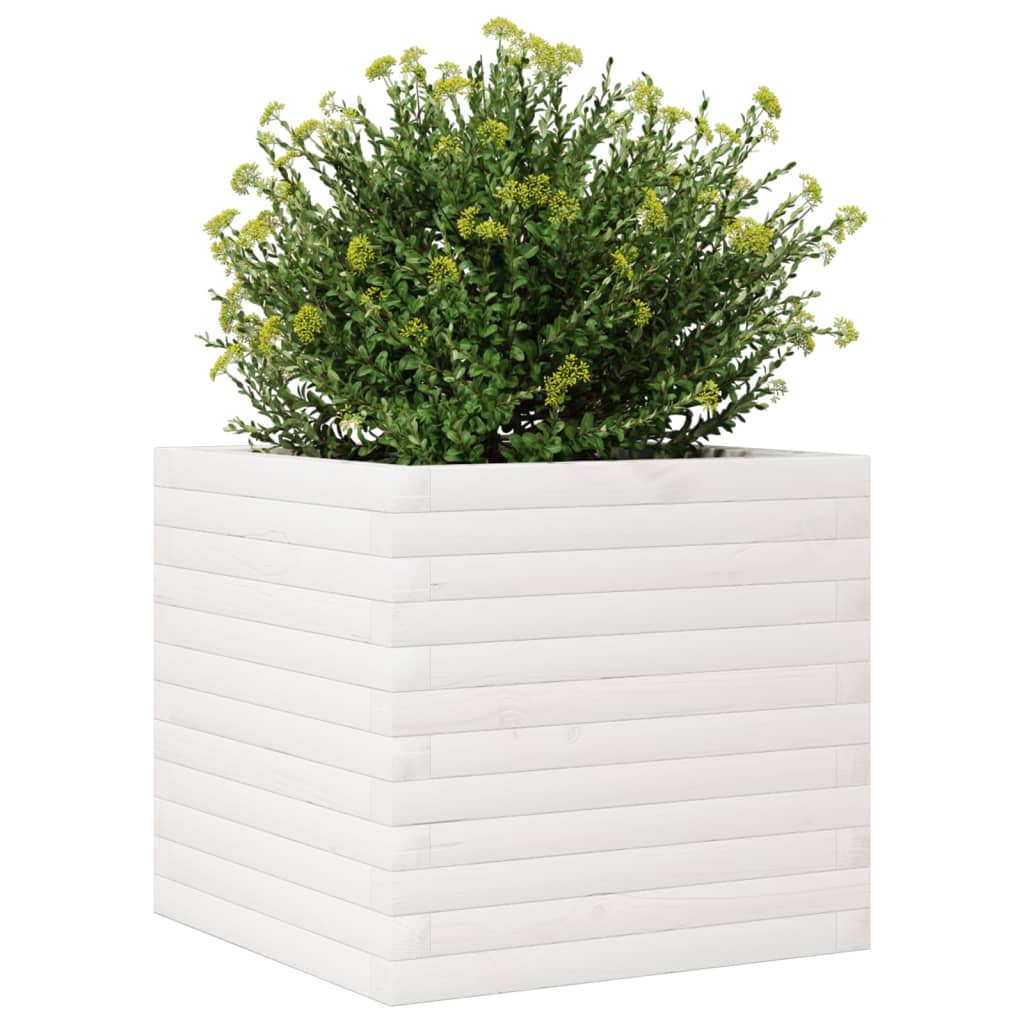 vidaXL Pflanzkübel Weiß 50x50x45,5 cm Massivholz Kiefer