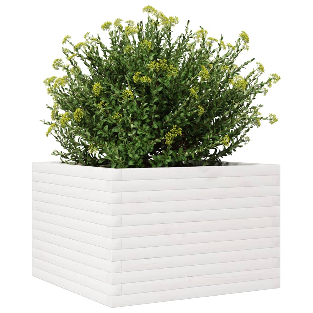 vidaXL Pflanzkübel Weiß 70x70x45,5 cm Massivholz Kiefer