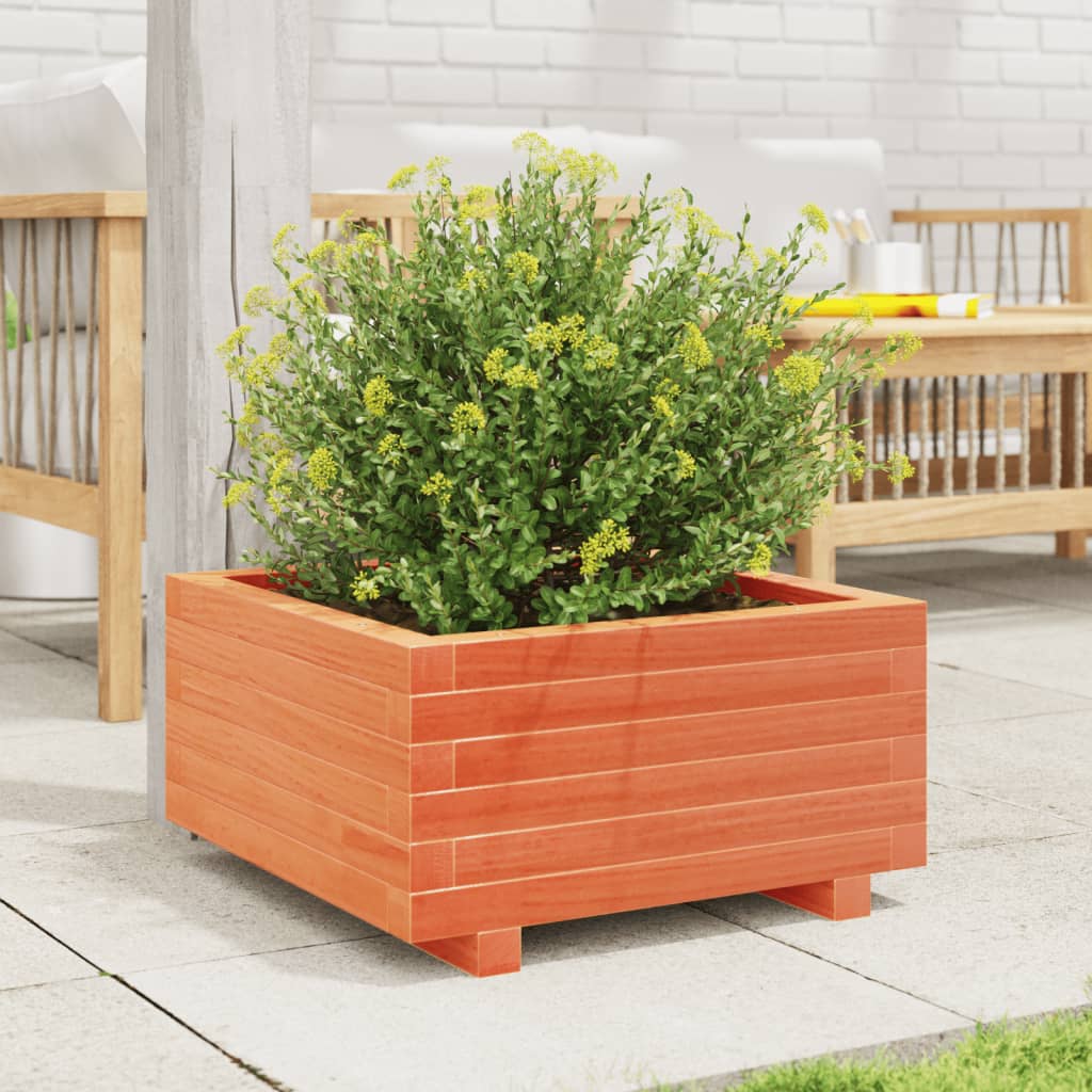 vidaXL Pflanzkübel Wachsbraun 50x50x26,5 cm Massivholz Kiefer