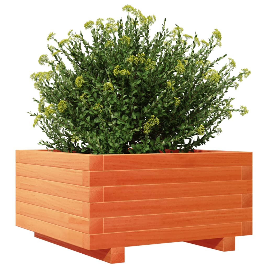 vidaXL Pflanzkübel Wachsbraun 50x50x26,5 cm Massivholz Kiefer