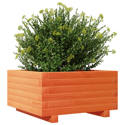 vidaXL Pflanzkübel Wachsbraun 50x50x26,5 cm Massivholz Kiefer