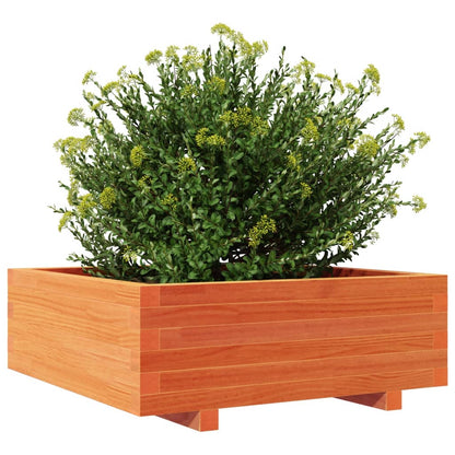 vidaXL Pflanzkübel Wachsbraun 70x70x26,5 cm Massivholz Kiefer