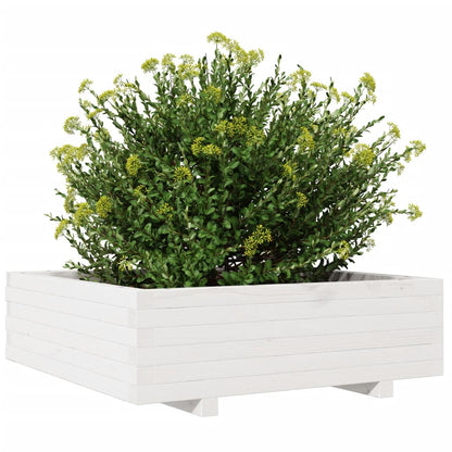 vidaXL Pflanzkübel Weiß 80x80x26,5 cm Massivholz Kiefer