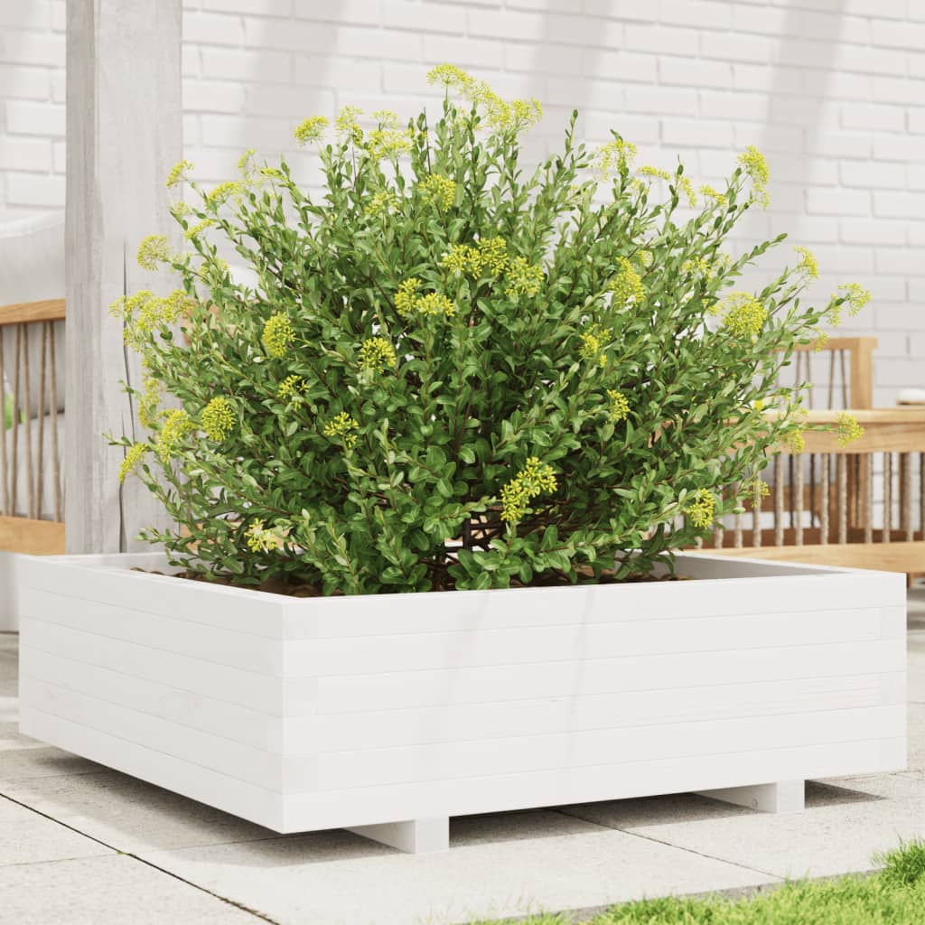 vidaXL Pflanzkübel Weiß 80x80x26,5 cm Massivholz Kiefer