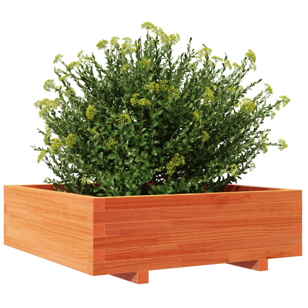 vidaXL Pflanzkübel Wachsbraun 80x80x26,5 cm Massivholz Kiefer