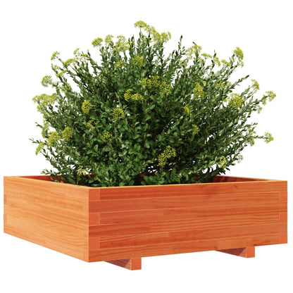 vidaXL Pflanzkübel Wachsbraun 80x80x26,5 cm Massivholz Kiefer