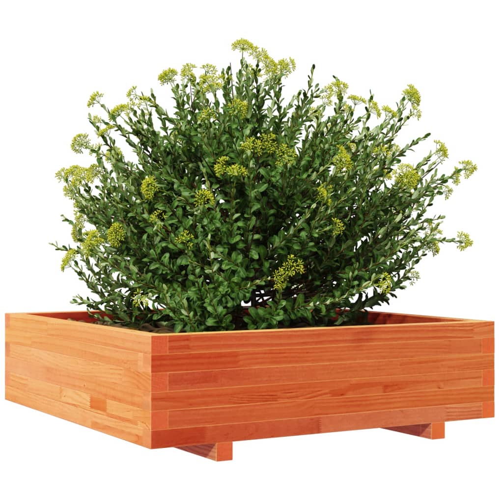 vidaXL Pflanzkübel Wachsbraun 90x90x26,5 cm Massivholz Kiefer