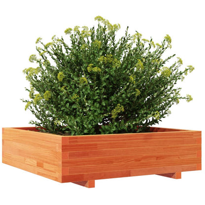 vidaXL Pflanzkübel Wachsbraun 90x90x26,5 cm Massivholz Kiefer