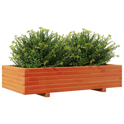 vidaXL Pflanzkübel Wachsbraun 110x60x26,5 cm Massivholz Kiefer