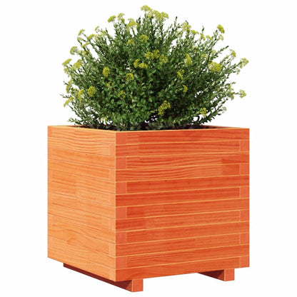 vidaXL Pflanzkübel Wachsbraun 50x50x49,5 cm Massivholz Kiefer