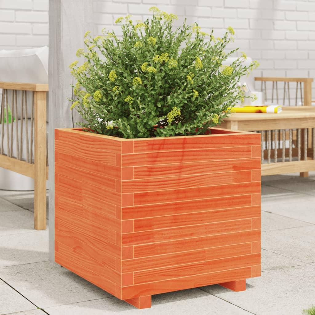 vidaXL Pflanzkübel Wachsbraun 50x50x49,5 cm Massivholz Kiefer