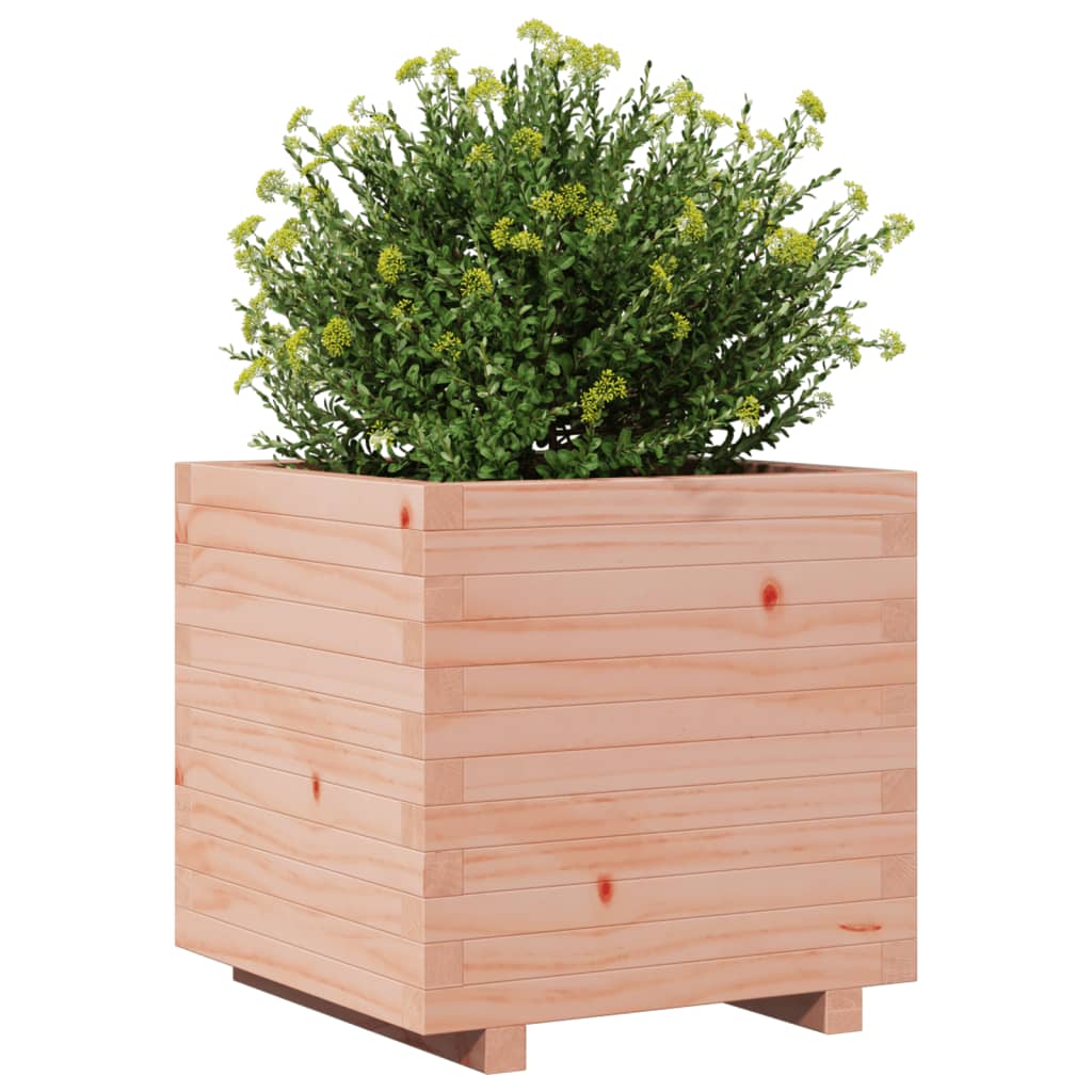 vidaXL Pflanzkübel 50x50x49,5 cm Massivholz Douglasie
