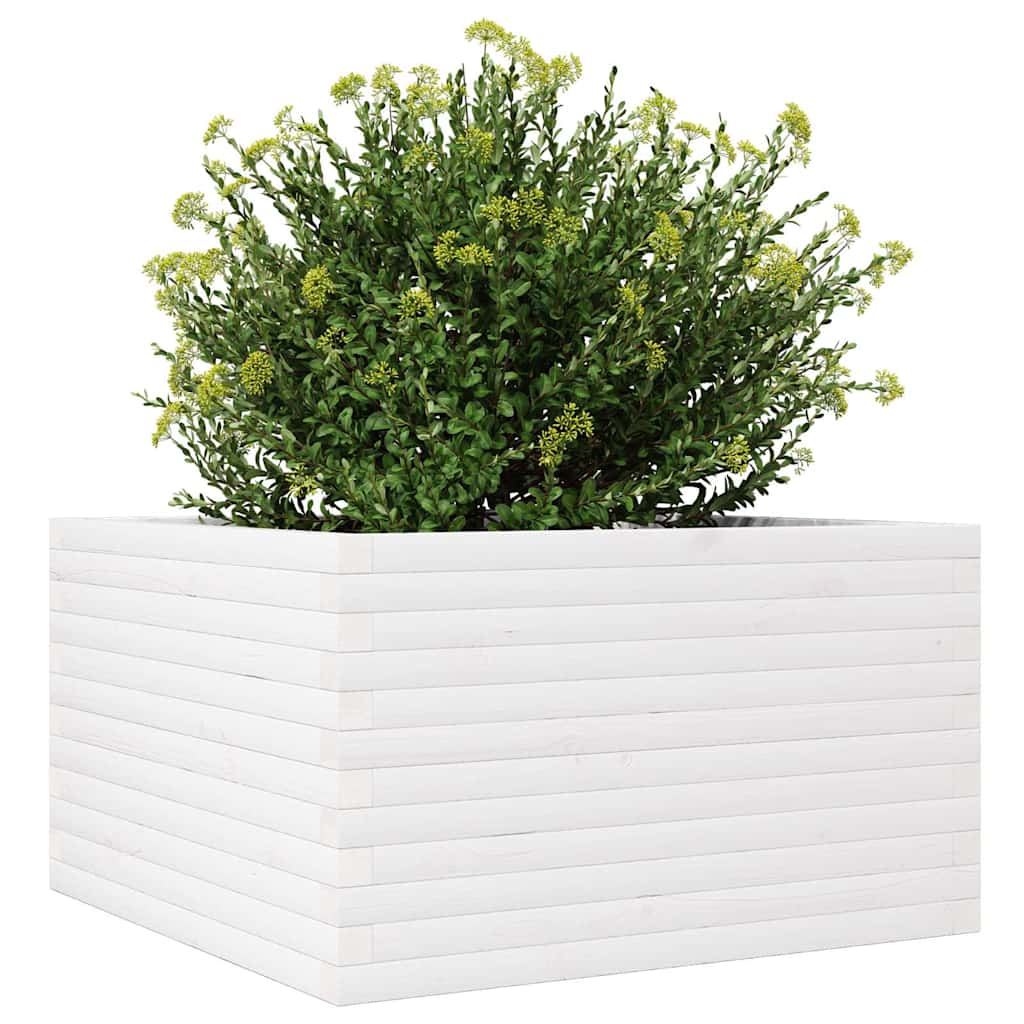 vidaXL Pflanzkübel Weiß 80x80x46 cm Massivholz Kiefer