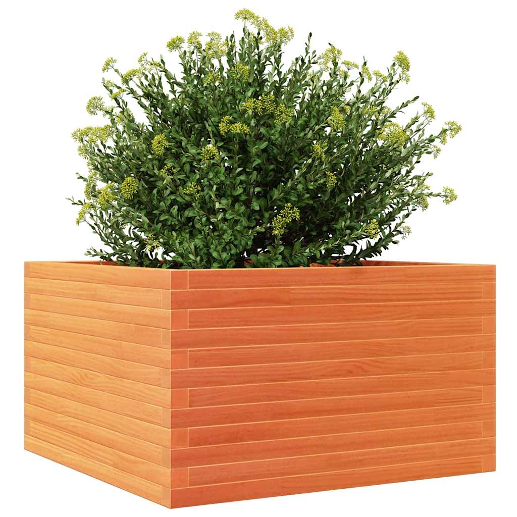 vidaXL Pflanzkübel Wachsbraun 80x80x46 cm Massivholz Kiefer