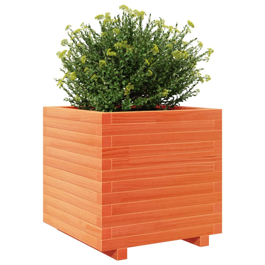 vidaXL Pflanzkübel Wachsbraun 50x50x49,5 cm Massivholz Kiefer