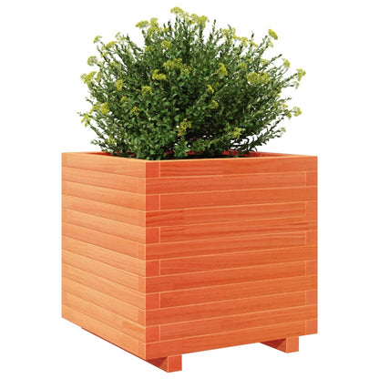 vidaXL Pflanzkübel Wachsbraun 50x50x49,5 cm Massivholz Kiefer