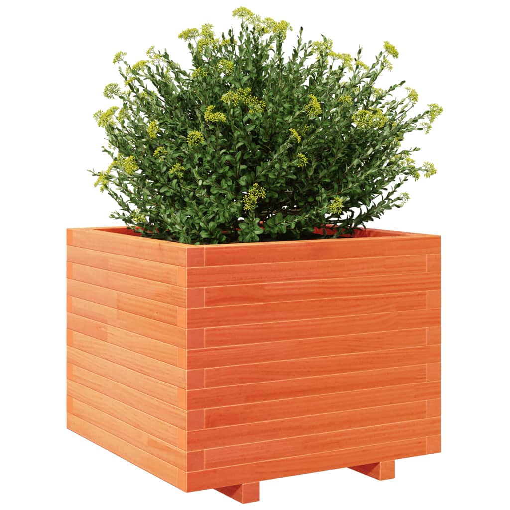 vidaXL Pflanzkübel Wachsbraun 60x60x49,5 cm Massivholz Kiefer