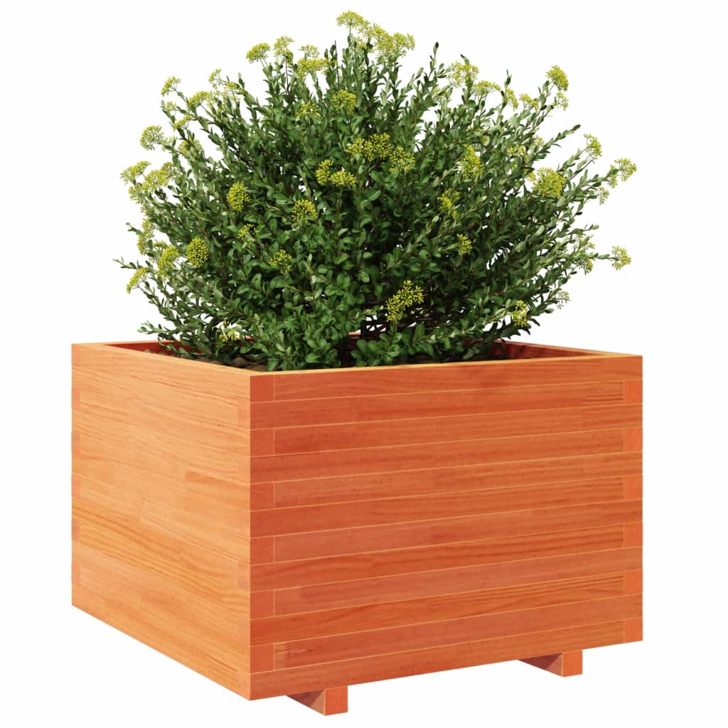 vidaXL Pflanzkübel Wachsbraun 70x70x49,5 cm Massivholz Kiefer