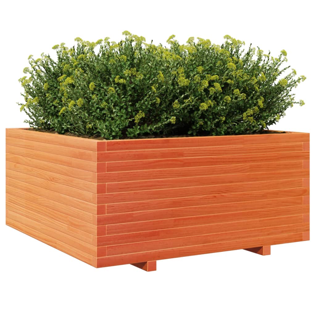 vidaXL Pflanzkübel Wachsbraun 100x100x49,5 cm Massivholz Kiefer