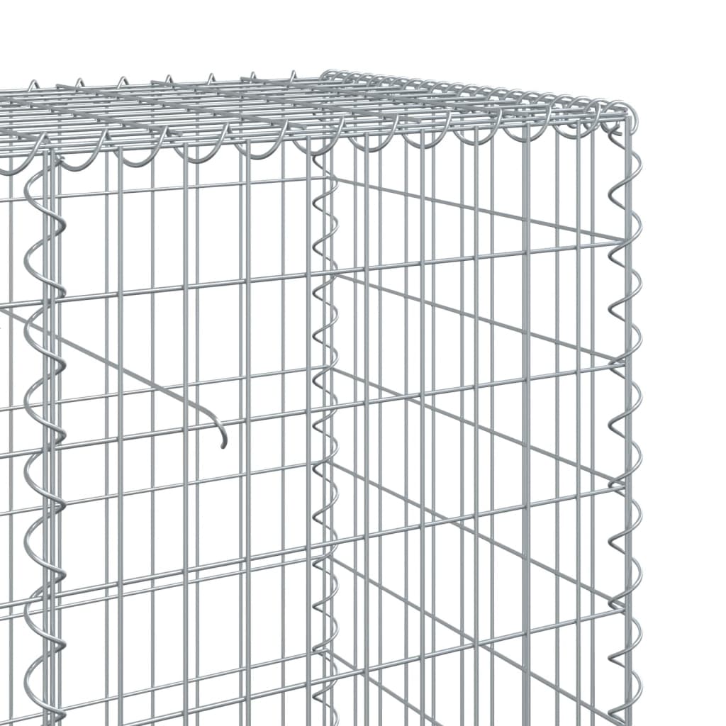 vidaXL Gabione mit Deckel 100x50x100 cm Verzinktes Eisen