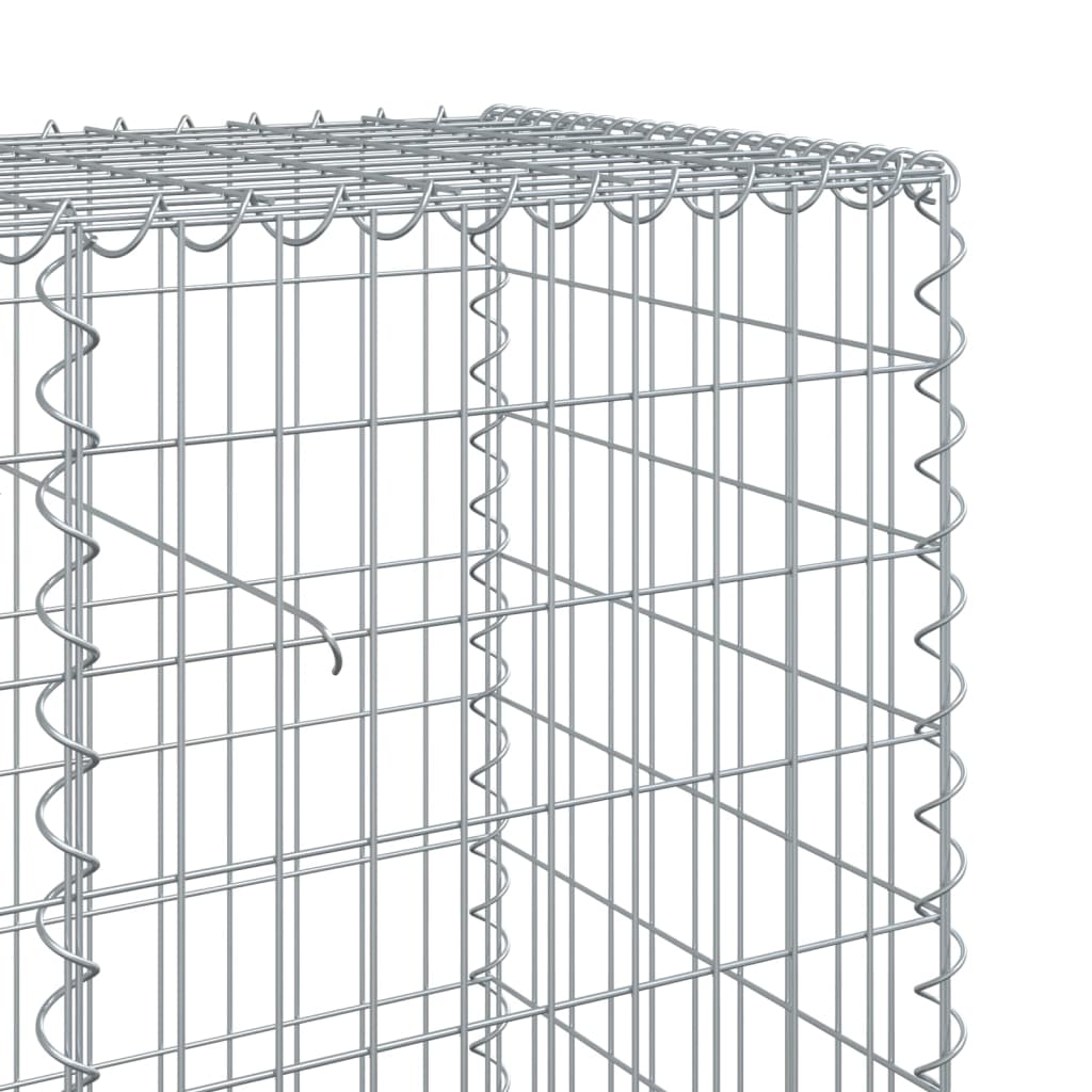 vidaXL Gabione mit Deckel 200x50x100 cm Verzinktes Eisen