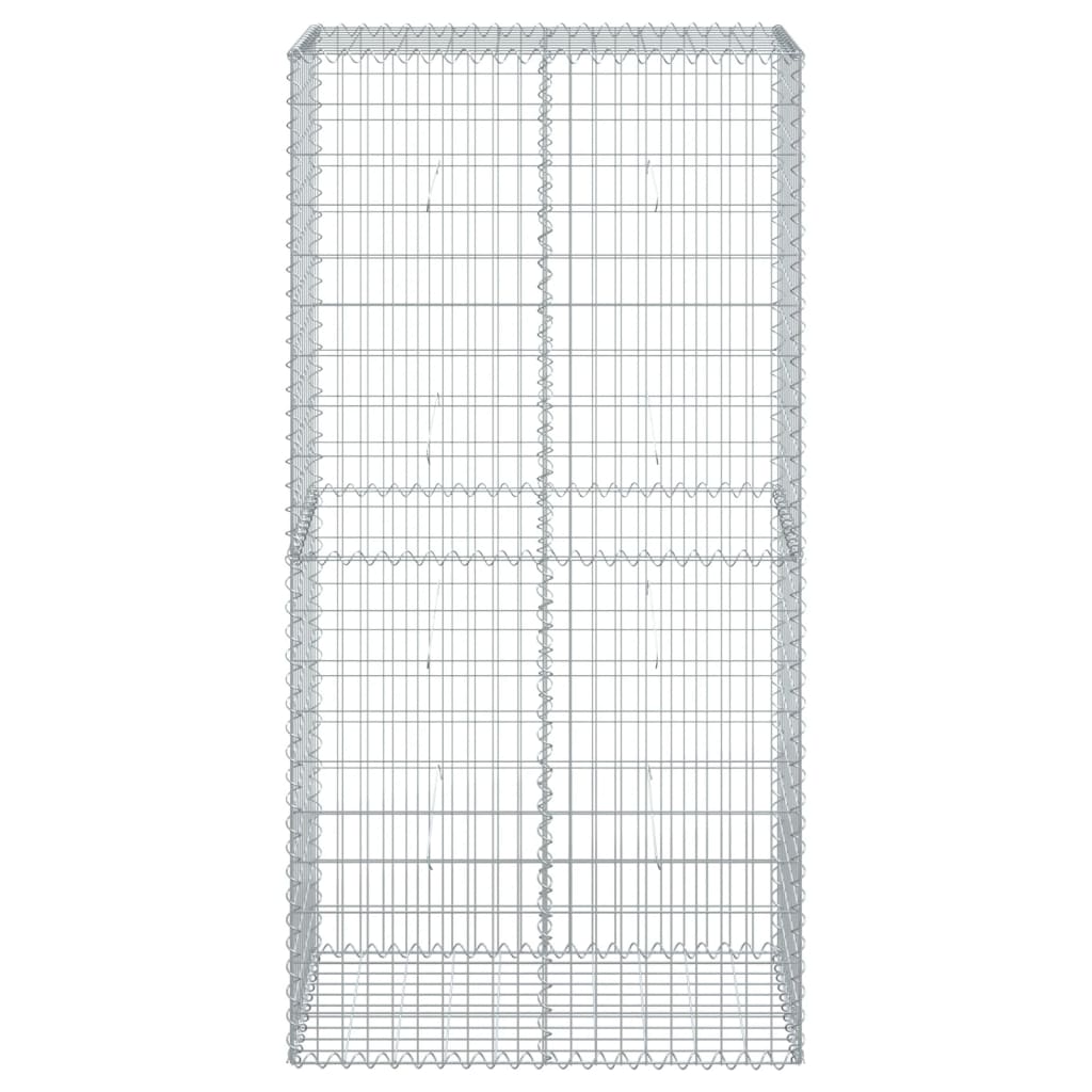 vidaXL Gabione mit Deckel 100x50x200 cm Verzinktes Eisen