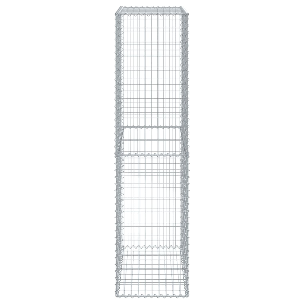 vidaXL Gabione mit Deckel 100x50x200 cm Verzinktes Eisen