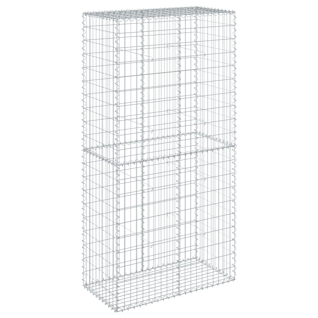 vidaXL Gabione mit Deckel 100x50x200 cm Verzinktes Eisen