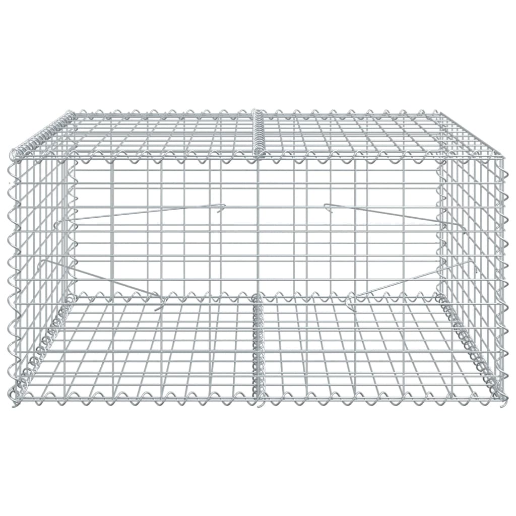 vidaXL Gabione mit Deckel 100x100x50 cm Verzinktes Eisen