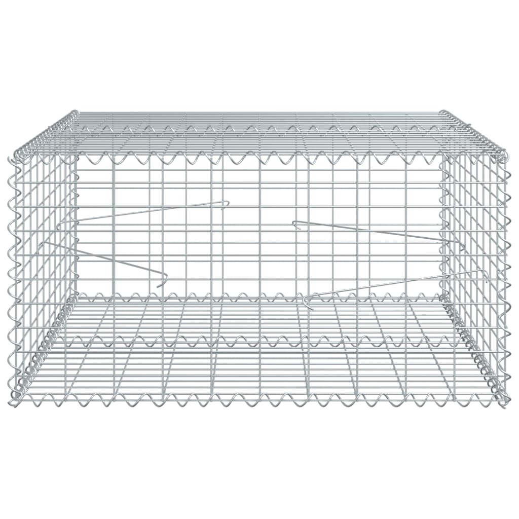 vidaXL Gabione mit Deckel 100x100x50 cm Verzinktes Eisen