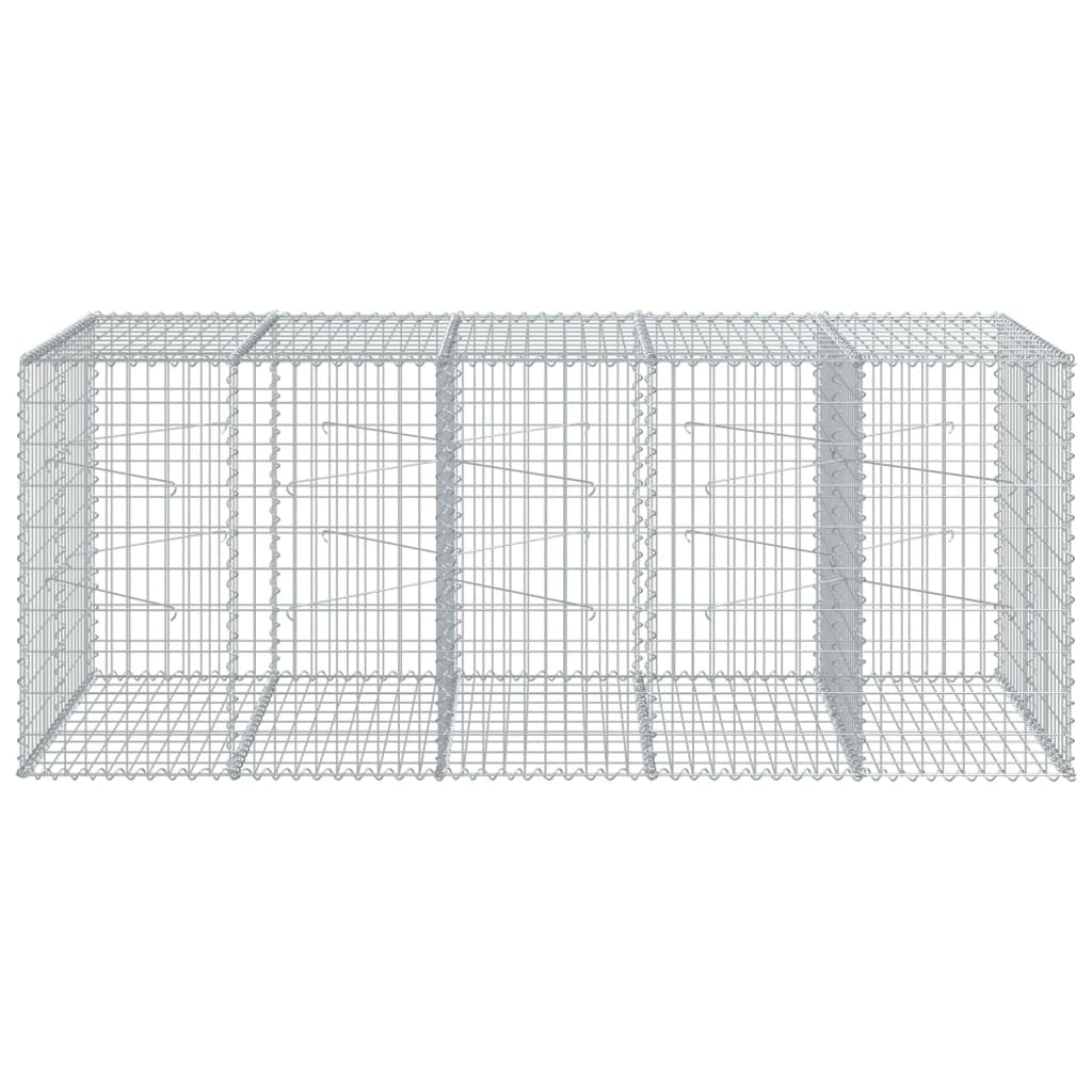 vidaXL Gabione mit Deckel 250x100x100 cm Verzinktes Eisen