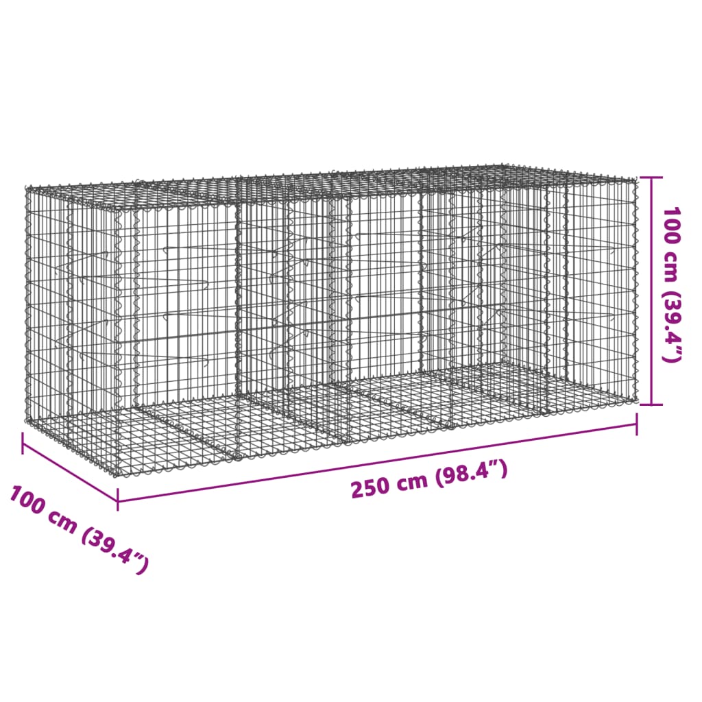 vidaXL Gabione mit Deckel 250x100x100 cm Verzinktes Eisen